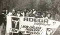 ADEGA 50 anos