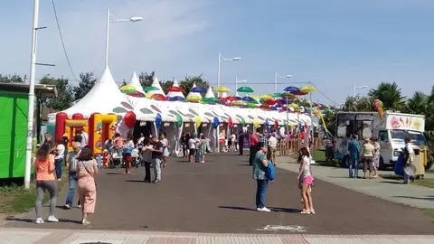 Mercadillo Urbano Eir&iacute;s (1)