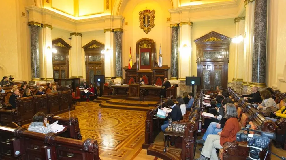 pleno enero 2017