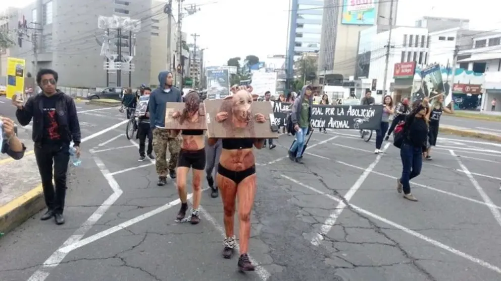veganos-01-720x405