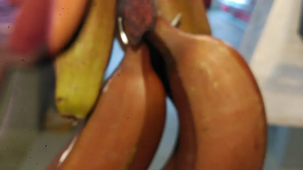 frutas cosmopolitas