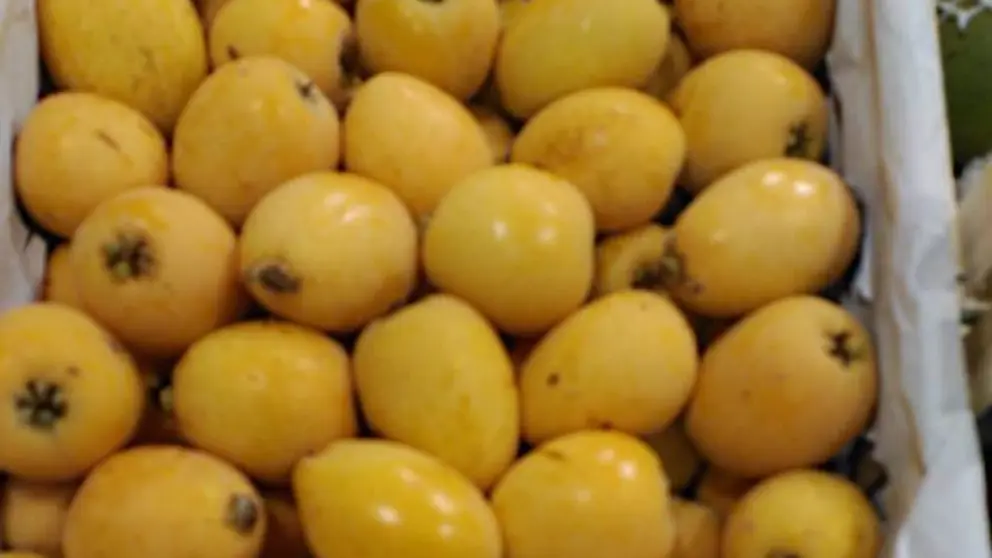 n&iacute;speros