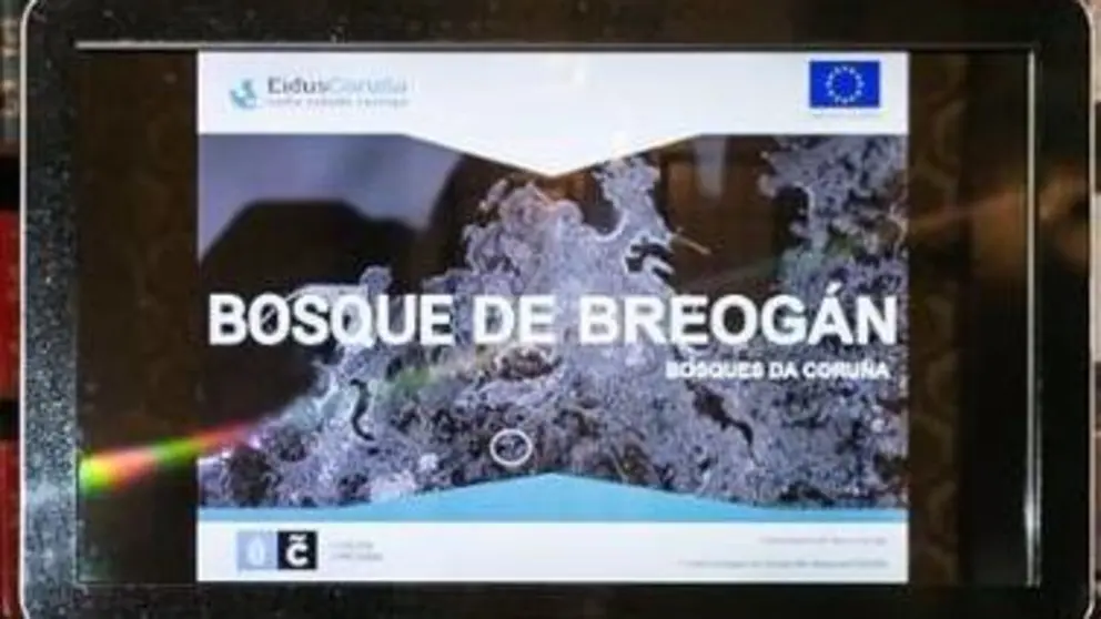 Bosque de Breog&aacute;n