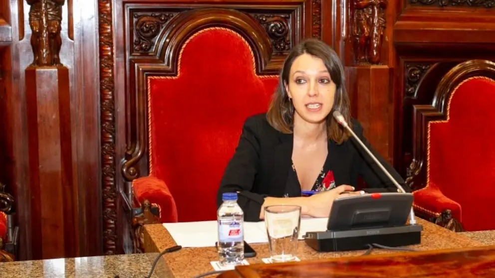 20190123_SILVIA_CAMEAN_PLENO_EXTRAORDINARIO_CONSELLO_LOCAL_DE_SAUDE_001