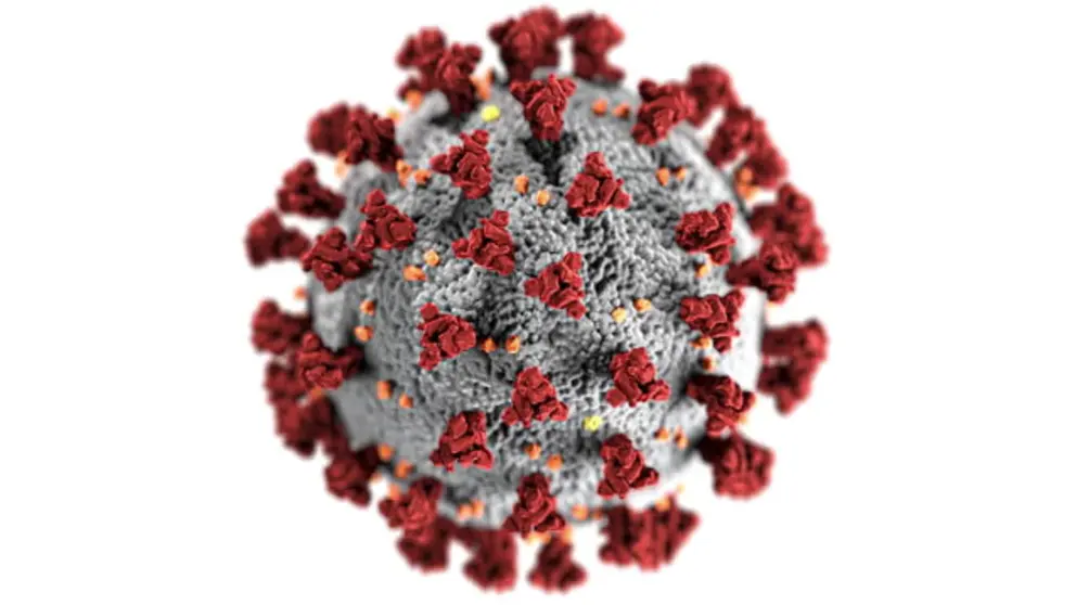 coronavirus