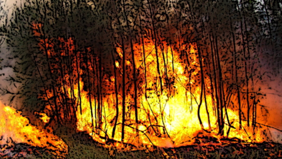 incendio forestal