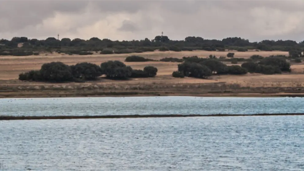 Defendemos TU agua port