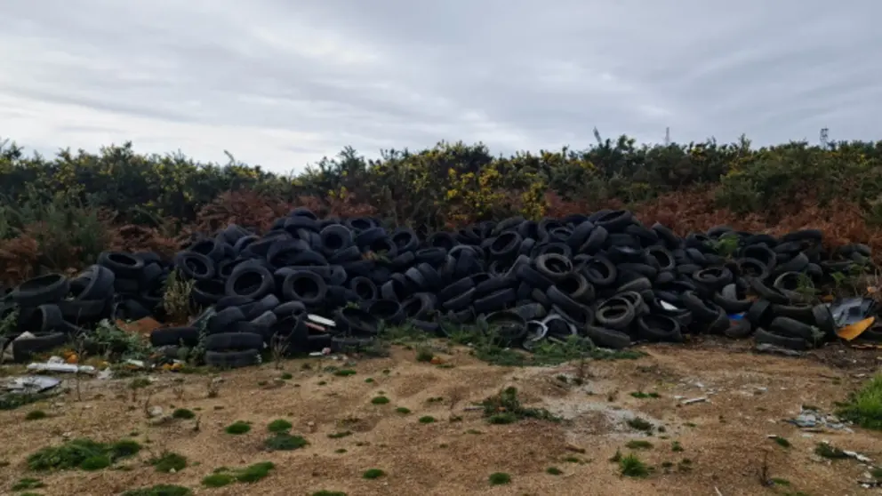 Pneum&aacute;ticos em Pena Moa port