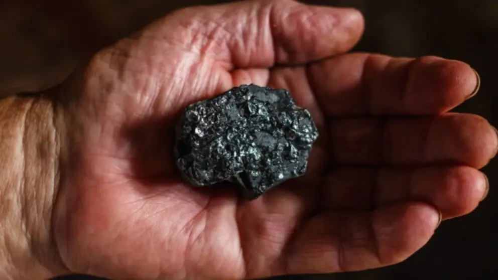 Carbon port