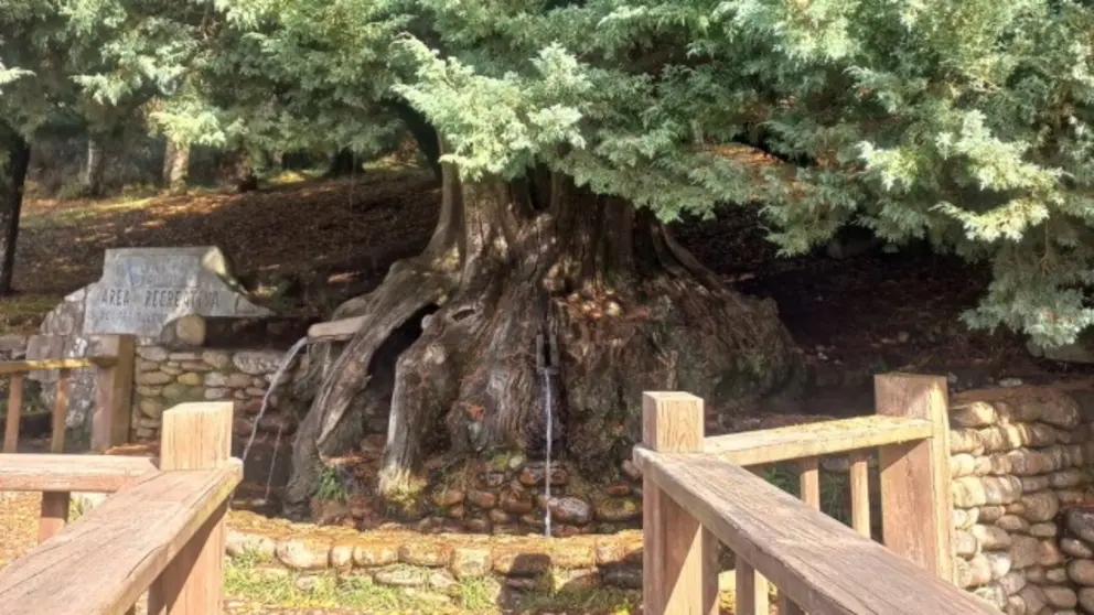 Fonte do Vieiro