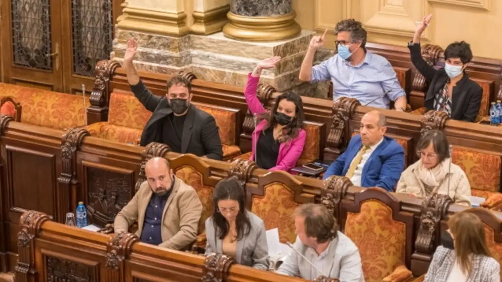 Pleno ordinario maio