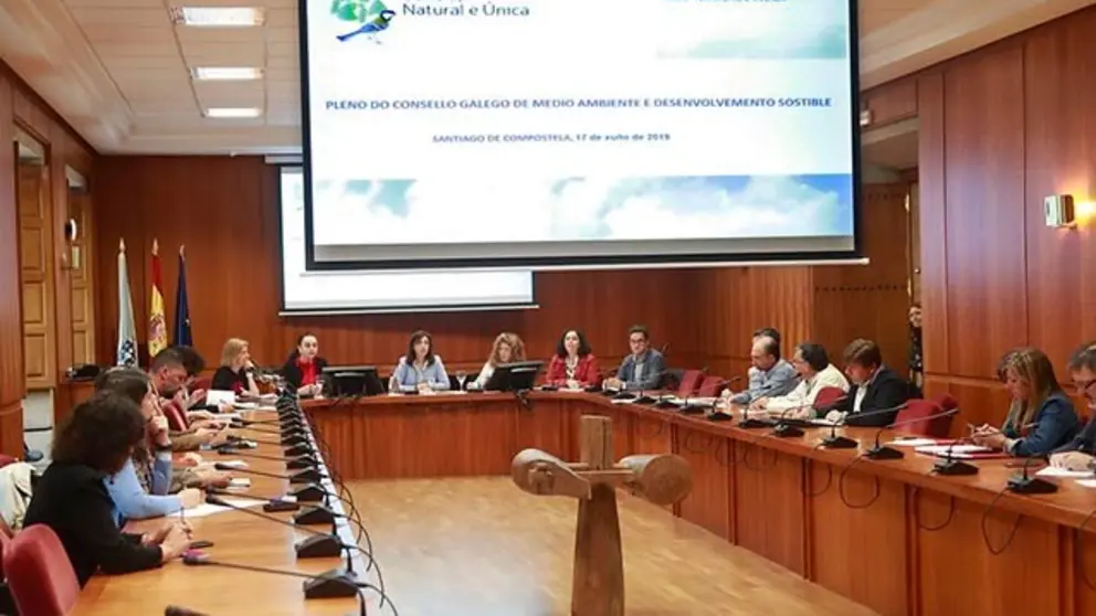 Reuni&oacute;n de COGAMADS