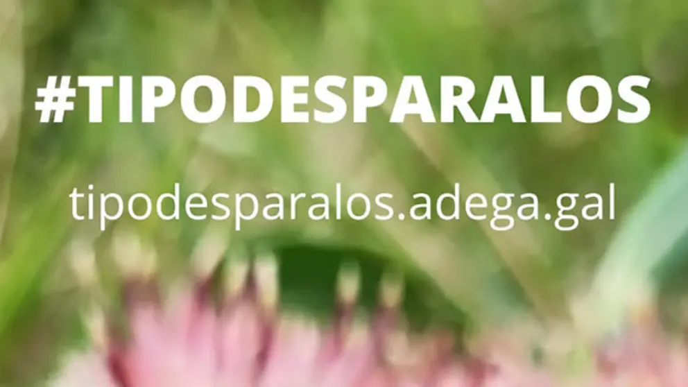 Ti podes paralos port