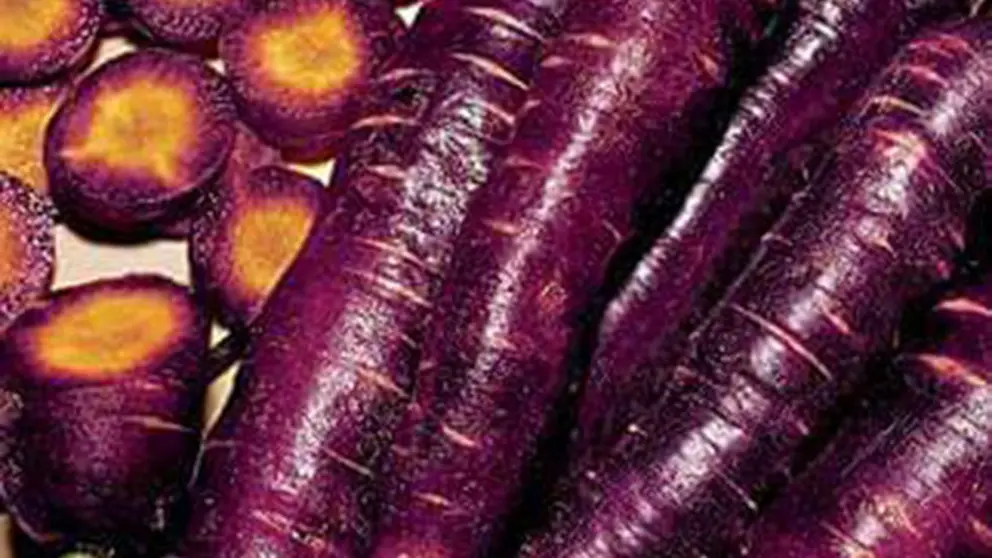 Frutas y verduras Rafa 02