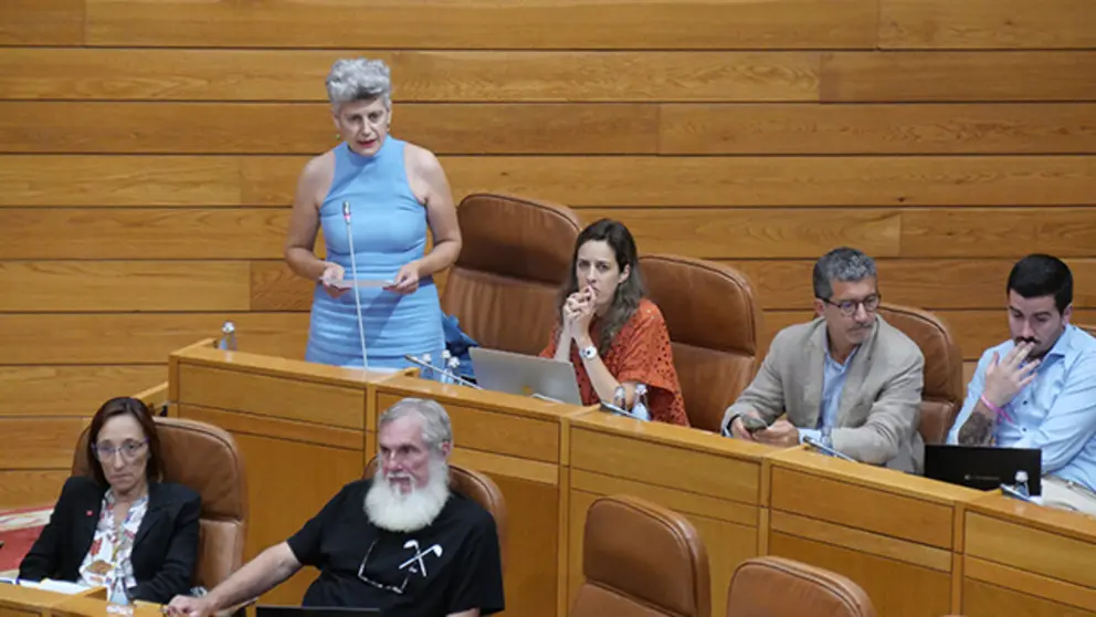 Mercedes Queixas dotaci&oacute;n docentes e aula no  CPI castro  Baixoi-Mi&ntilde;o port