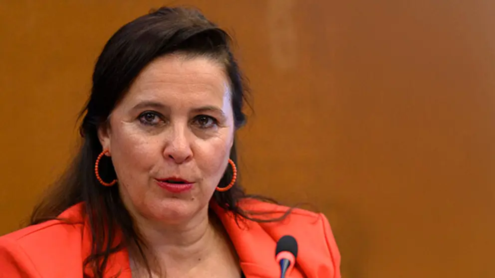 Ana MIranda declaraci&oacute;ns