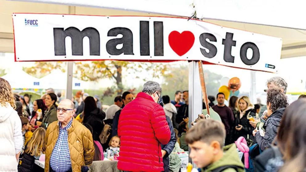 Mallosto