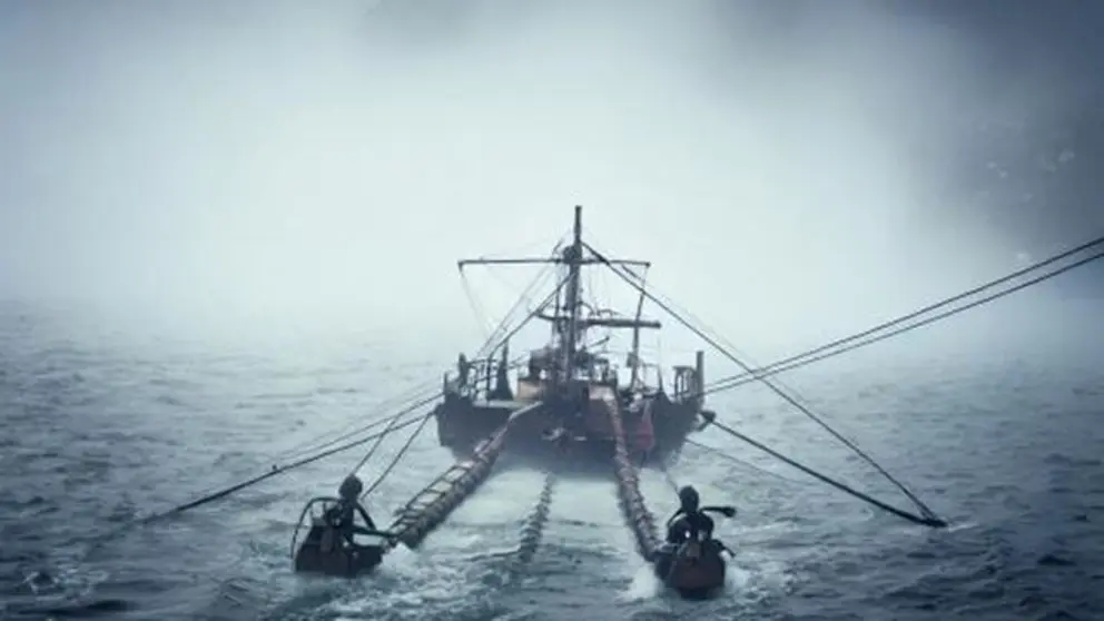 Navegando por la niebla port