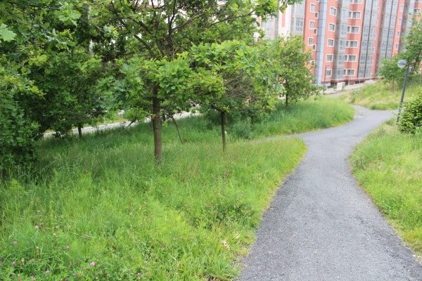 A Silva 5. Parque-min