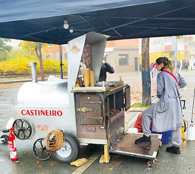 castañeiro