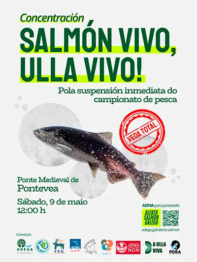 Cartaz Salmon